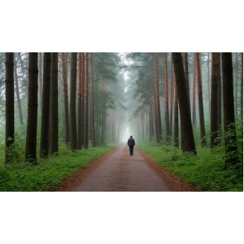 Прогулка романтическая по историческим местам