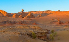 Автобусная эсккурсия