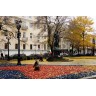 Тайная жизнь Тверского бульвара: за фасадами парадной Москвы 333